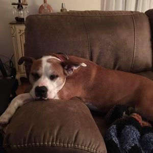 Meet your Posher, Dave